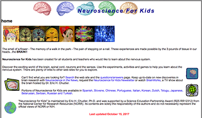 Neuroscience for kids website