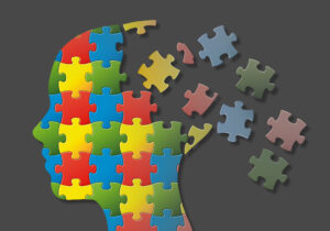 brain shaped puzzle 