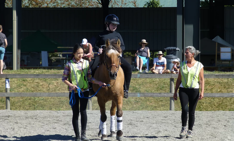 Southlands-Therapeutic-Riding-Society-image