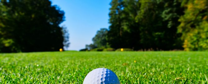 golf ball in grass