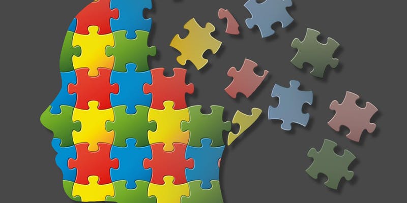 puzzle pieces making up a brain