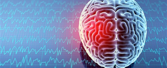 brain and brain waves