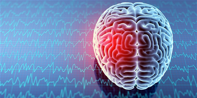 brain and brain waves