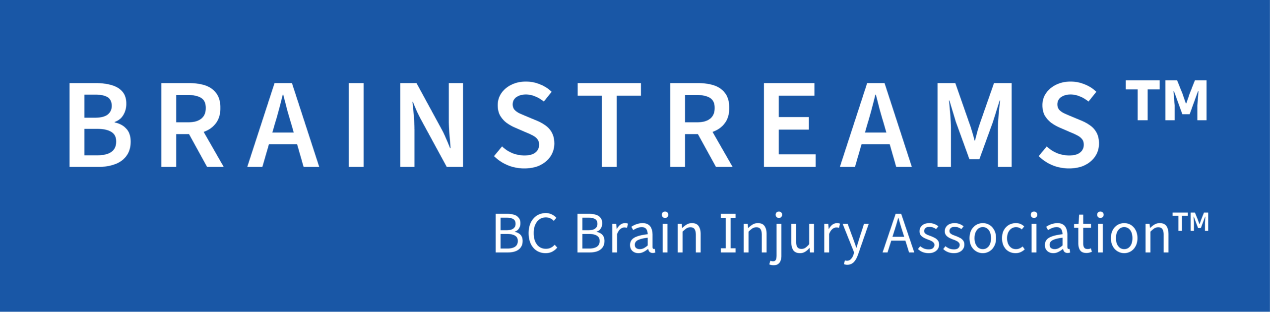 Brainstreams_Logo_TM
