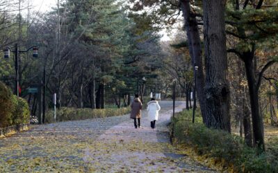 My Bipartisan Brain by Debra Erickson