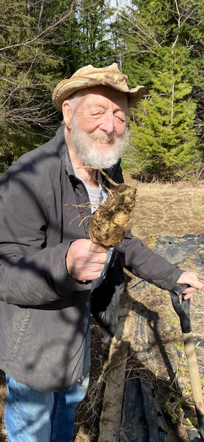 Older man outdoors holding up a parsnip in his hand.